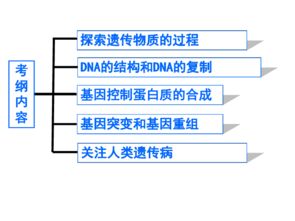 蘇教版高中生物必修二第四章第1節(jié)探索遺傳物質(zhì)的過(guò)程