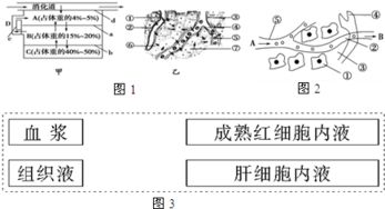 孟德爾遺傳規律為何不適用于細菌等單細胞生物？